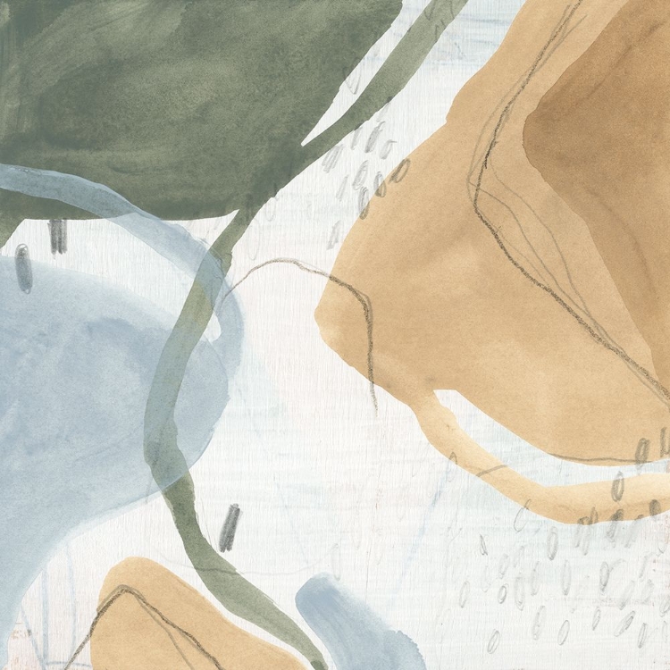 Picture of SHAPE GALLERY II