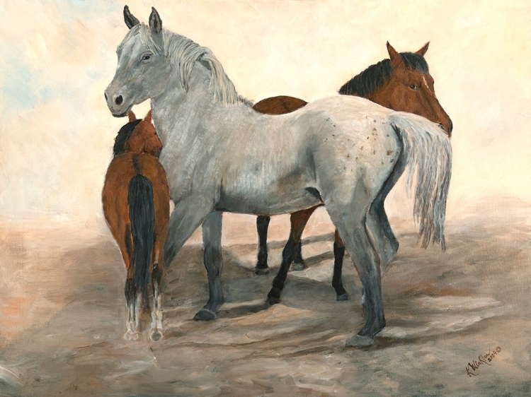 Picture of THE PROTECTOR