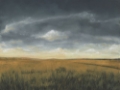 Picture of STORMY MEADOW I