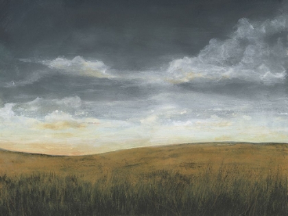 Picture of STORMY MEADOW II