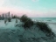 Picture of DUNES HORIZON AT DUSK IV