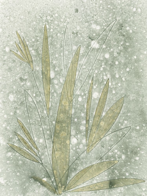 Picture of MOTTLED GLADE I