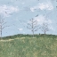 Picture of REFUGE II