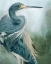 Picture of BAYOU KING I
