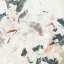 Picture of WASHI II