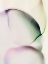Picture of GOSSAMER VEILS I