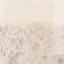 Picture of ORBITAL MARKINGS II