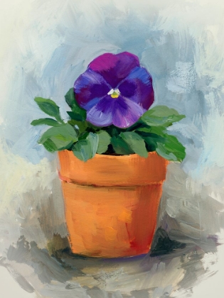 Picture of POTTED PANSY STUDY I