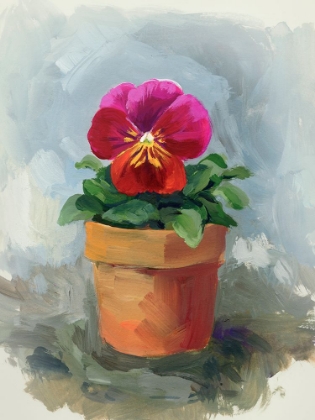 Picture of POTTED PANSY STUDY II