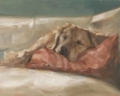 Picture of TRADITIONAL CANINE PORTRAIT II