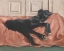 Picture of TRADITIONAL CANINE PORTRAIT III