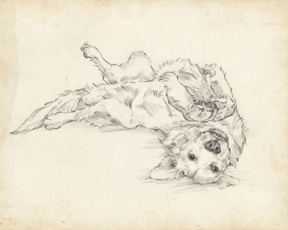 Picture of ANTIQUE DOG SKETCH I