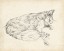 Picture of ANTIQUE DOG SKETCH II