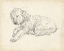 Picture of ANTIQUE DOG SKETCH III
