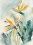Picture of IMPRESSIONS OF PARADISE I
