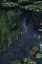Picture of MOODY WATERLILLIES I