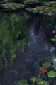 Picture of MOODY WATERLILLIES I