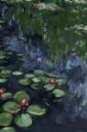 Picture of MOODY WATERLILLIES II