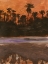 Picture of SUNDOWN SILHOUETTES II