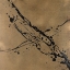 Picture of CUSTOM INK ELEMENTS II A