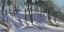 Picture of SNOWY TREELINE