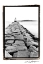 Picture of SPRING POINT LIGHT  MAINE II