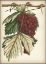 Picture of RED GRAPES I