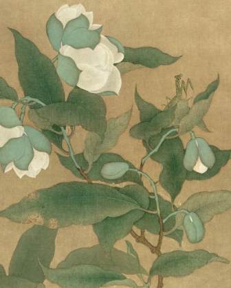 Picture of MAGNOLIA AND PRAYING MANTIS