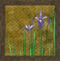 Picture of EXOTIC GARDEN III