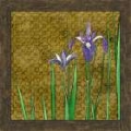 Picture of EXOTIC GARDEN III