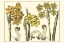Picture of SMALL NARCISSUS IN BLOOM I