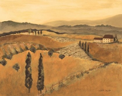 Picture of GOLDEN TUSCANY AFTERNOON (NA) I