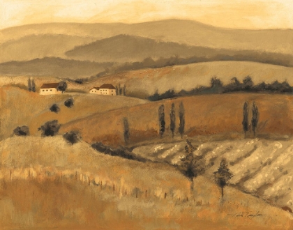 Picture of GOLDEN TUSCANY AFTERNOON (NA) II