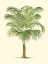 Picture of COASTAL PALM III