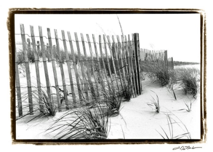 Picture of BEACH SCAPE III