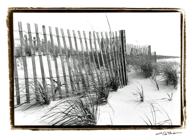 Picture of BEACH SCAPE III