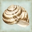 Picture of SEA DREAM SHELLS I