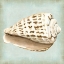 Picture of SEA DREAM SHELLS II