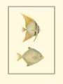 Picture of ANTIQUE TROPICAL FISH III
