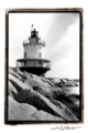 Picture of SPRING POINT LIGHT MAINE I