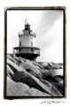 Picture of SPRING POINT LIGHT MAINE I