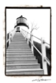 Picture of OWLS HEAD LIGHT  MAINE