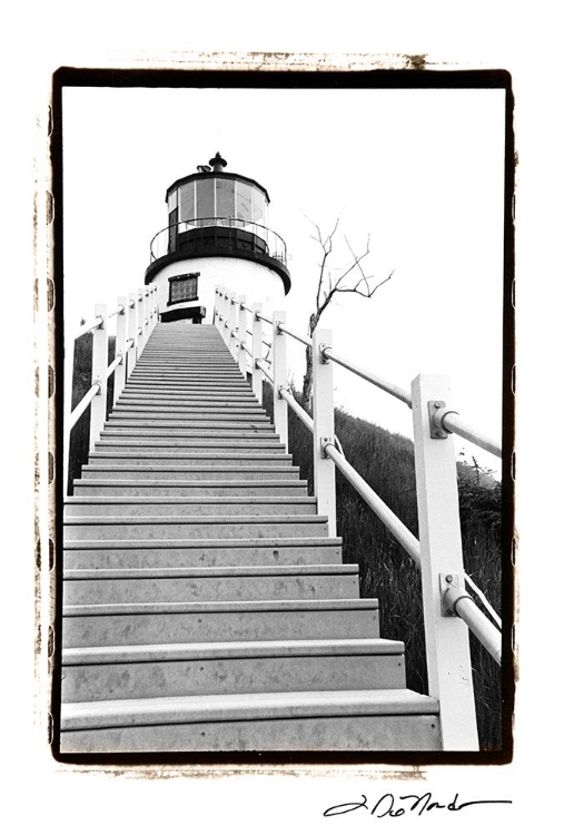 Picture of OWLS HEAD LIGHT  MAINE