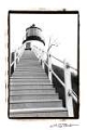 Picture of OWLS HEAD LIGHT  MAINE