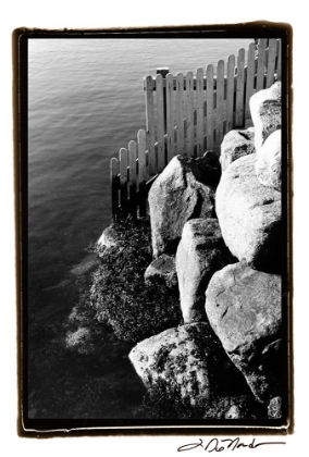 Picture of FENCED IN