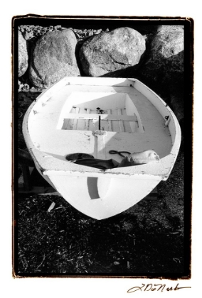 Picture of JUST WAITING