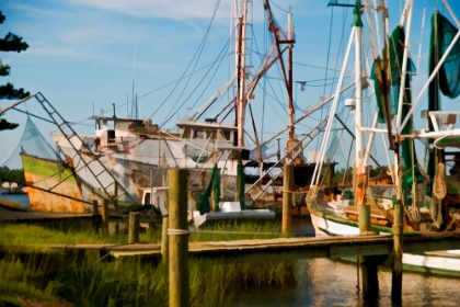 Picture of SAFE HARBOR III