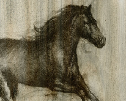 Picture of CUSTOM DYNAMIC STALLION I (CE)