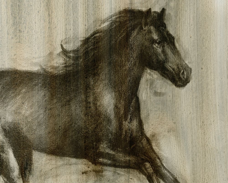 Picture of CUSTOM DYNAMIC STALLION I (CE)