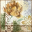 Picture of GLOBEFLOWER FRESCO I